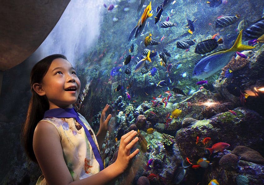 Atlantis, The Palm_the_lost_chambers_aquarium EWTC Blog Atlantis Dubai
