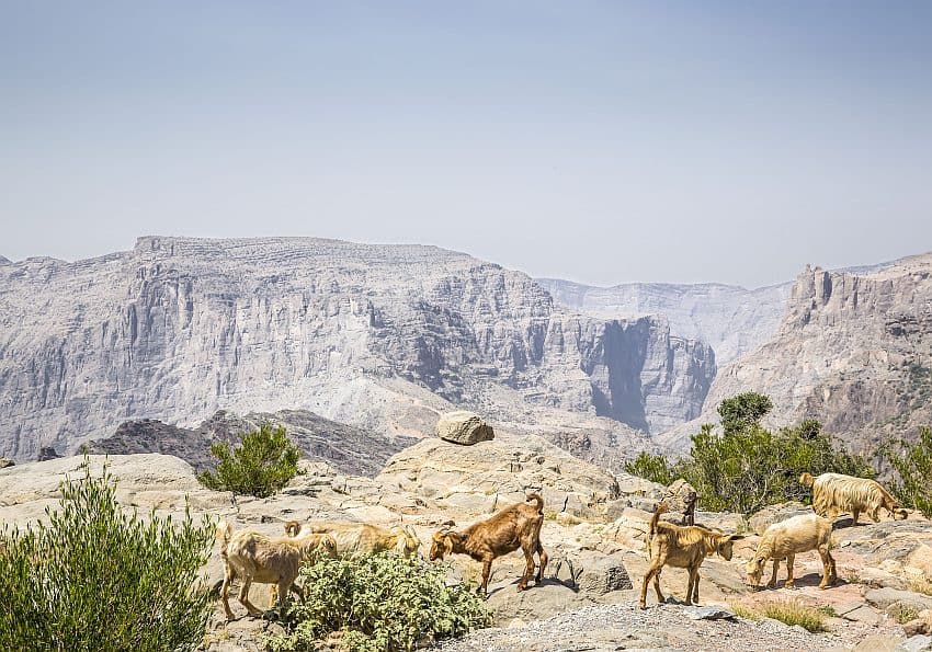 Jabal Akhdar EWTC Blog Oman
