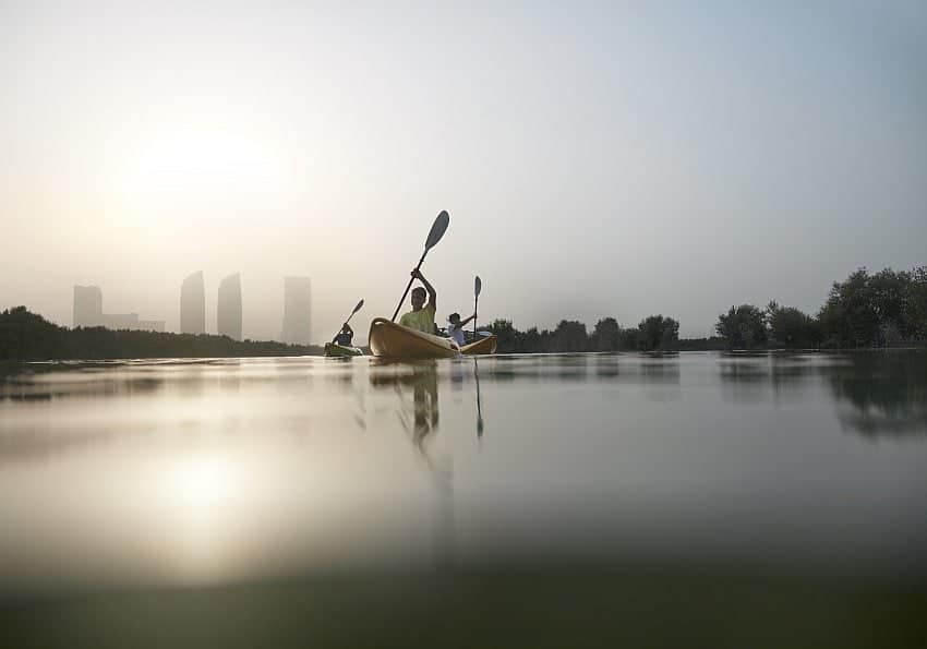 Mangroves_Kayaking EWTC Blog Abu Dhabi