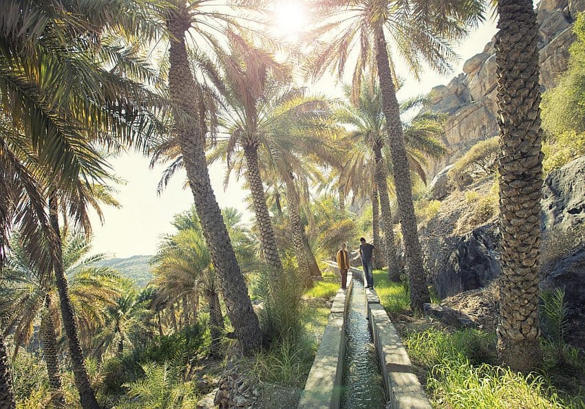 Misfat_JW5A2351 Misfat Jw A