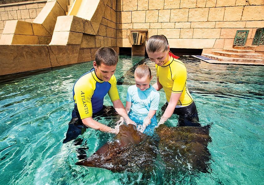 aquaventure-rayfeeding EWTC Blog Atlantis Dubai