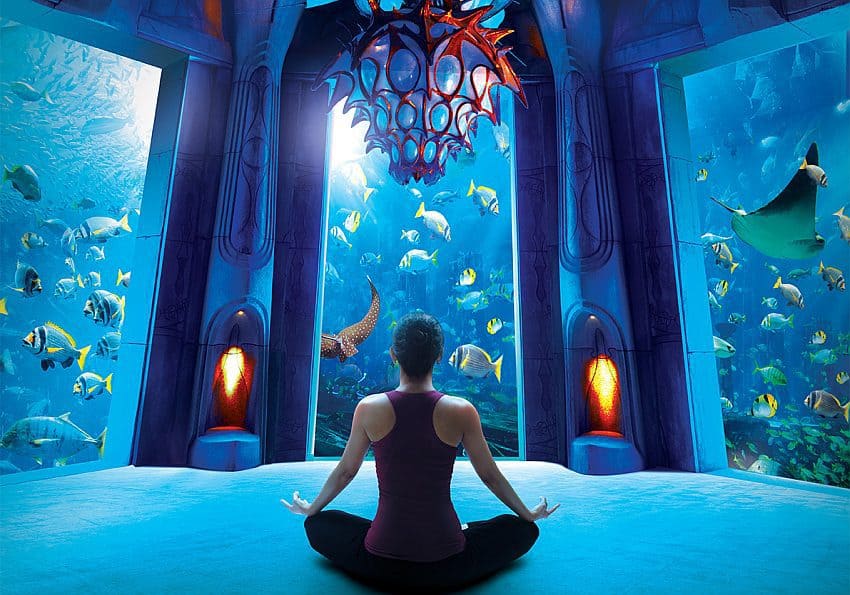 atlantisthepalm-yogainthelostchambersaquarium EWTC Blog Atlantis Dubai