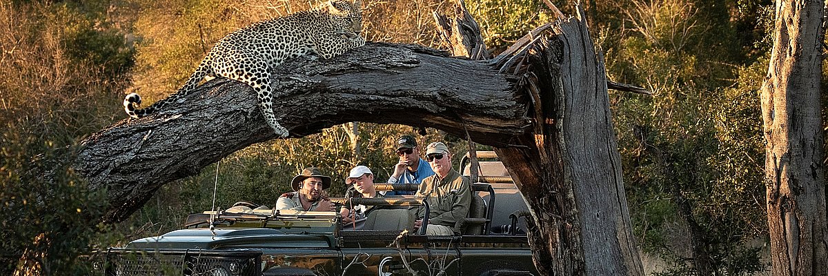 Safari Lodges Hotels günstig buchen