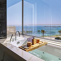 1 BR Executive Suite - Amavi