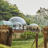Jungle Bubbles - Anantara Golden Triangle Elephant Camp & Resort
