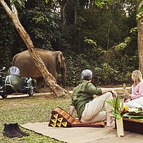 Picknick mit den Elefanten: Anantara Golden Triangle Elephant Camp & Resort