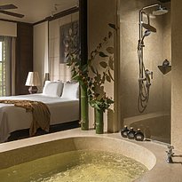 Three Coutry View Suite - Anantara Golden Triangle Elephant Camp & Resort