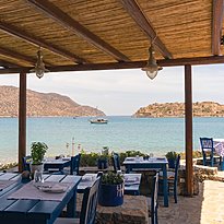 Blue Door Restaurant - Phaea Blue