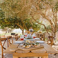 Farmers Feast - Phaea Blue