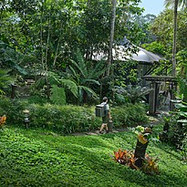 Capella Ubud