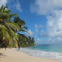 Carana Beach - Strand