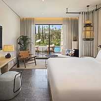 Fabulous Infinity Swim Up Guest Room - W Costa Navarino