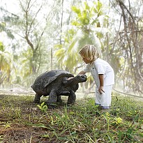 Four Seasons Resort Seychelles at Desroches Island