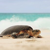 Fregate Island Private