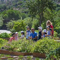 Kinder Aktivitäten - Chia Laguna