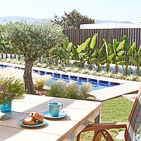 Laguna Suite Swim Up - 7Pines Resort Ibiza