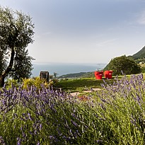 Lefay Resort & SPA Lago di Garda
