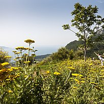 Lefay Resort & SPA Lago di Garda