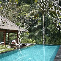 1 BR Riverfront Pool Villa - Mandapa, A Ritz-Carlton Reserve