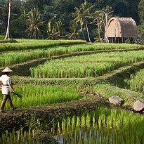 Mandapa, A Ritz-Carlton Reserve