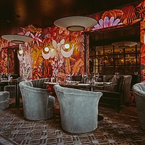 Monkey Club - Puente Romano Marbella