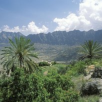 Rundreise Oman - Oman's Fascinating Nature
