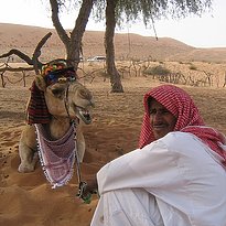 Rundreise Oman - Oman's Fascinating Nature