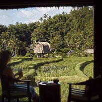 One Bedroom Rice Terrace Pool Villa - Mandapa, A Ritz-Carlton Reserve
