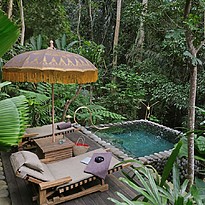 Rainforest Retreat - Capella Ubud
