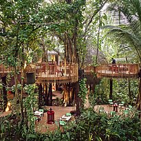 Restaurant Nest Treetop - Niyama Private Islands Maldives