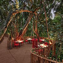 Restaurant Nest Treetop - Niyama Private Islands Maldives