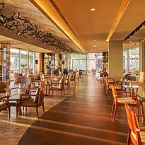 Fly Lounge Bar - Saccharum