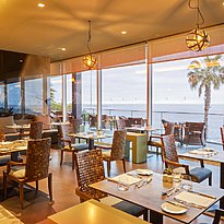 Alambique - Saccharum