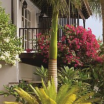 Gartenansicht - Seaside Grand Hotel Residencia