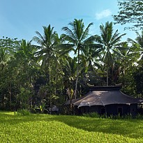 Terrace Retreat - Capella Ubud