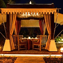 Tradition Saffron - Ozen Reserve Bolifushi