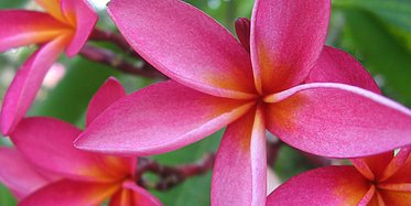 Tagestour Paradiesische H&ouml;hepunkte