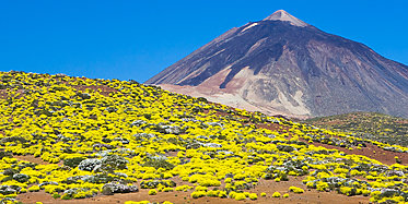 Rundreisen: Fremde L&auml;nder und Kulturen entdecken