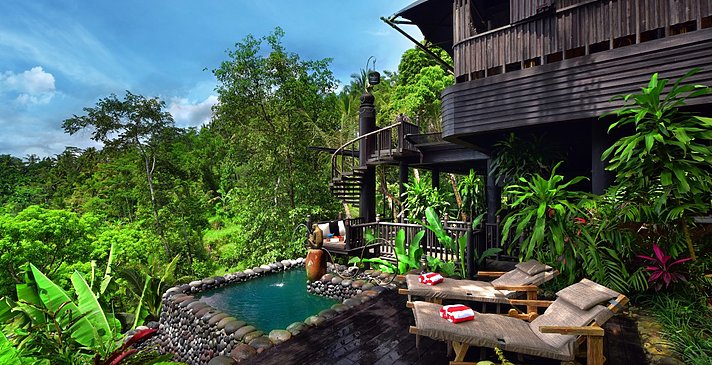 Privater Plungepool - Capella Ubud