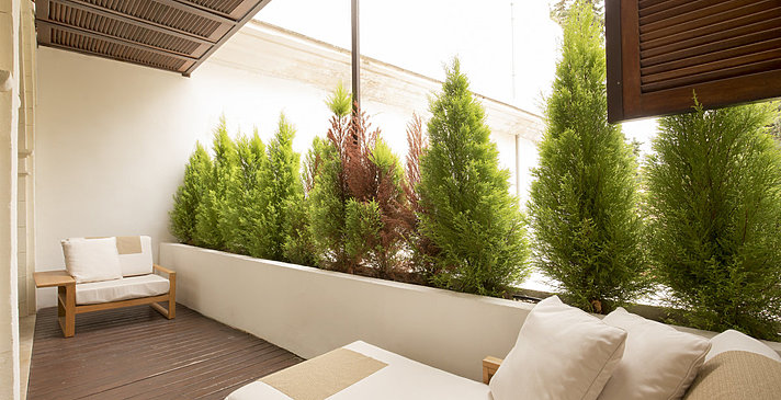 Suite Premium - Convent de la Missi&oacute;